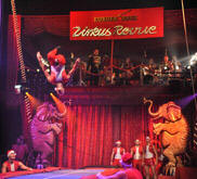 Winterzirkus_1x1.jpg